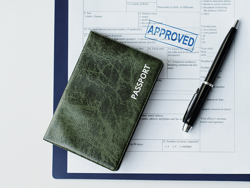 documents for making visa flat lay tknllxa.jpg